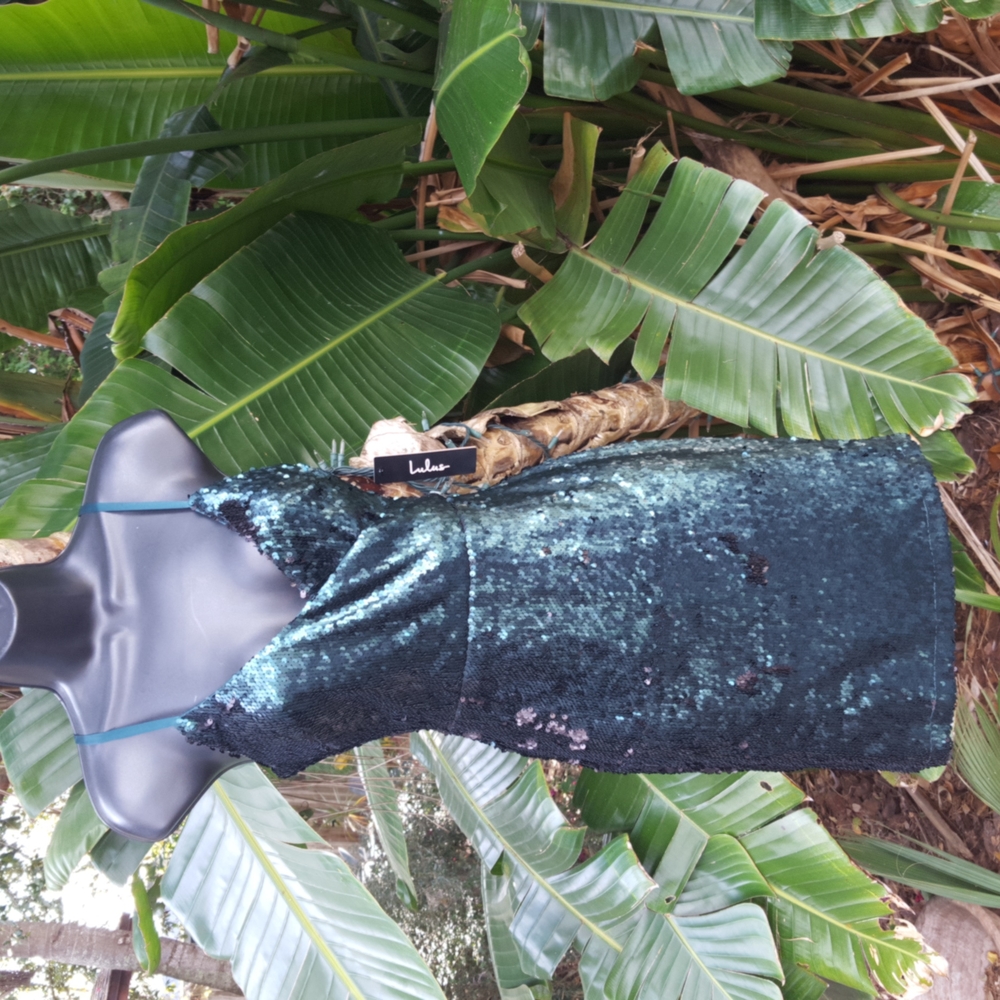 Lulu's sequin dress